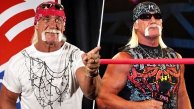 hulk hogan